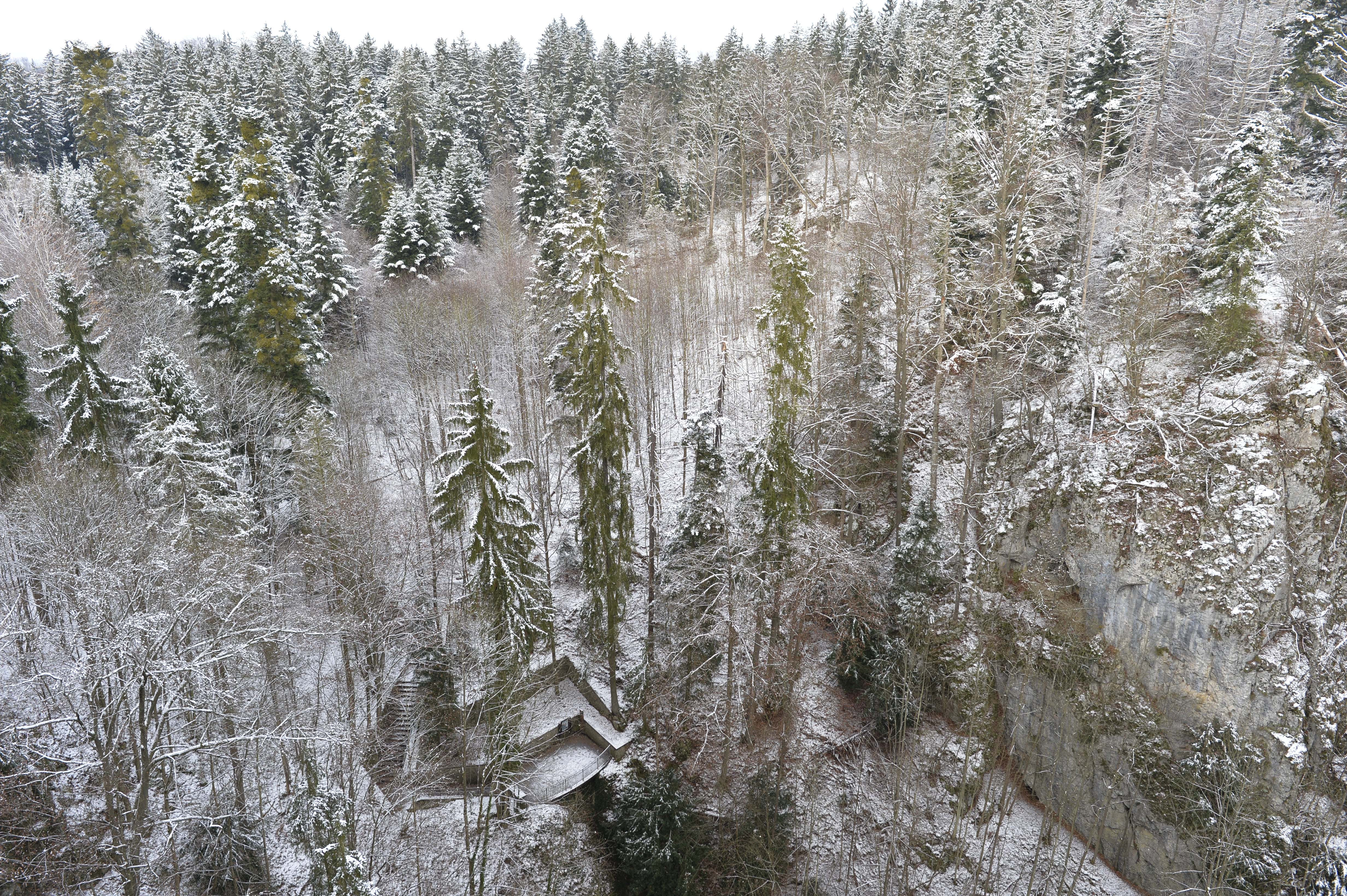 Macocha - dolní můstek (foto Olga Suldovská, 30. 11. 2023)