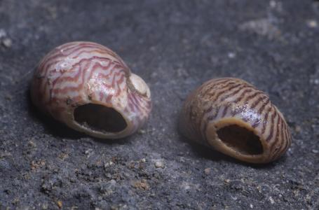 Archeologický výzkum v Kateřinské jeskyni 2024